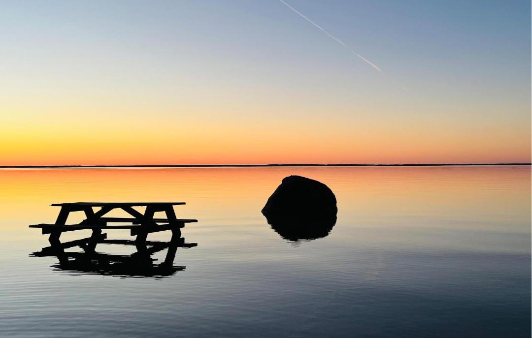 Photo of Human In Picture in Vargon