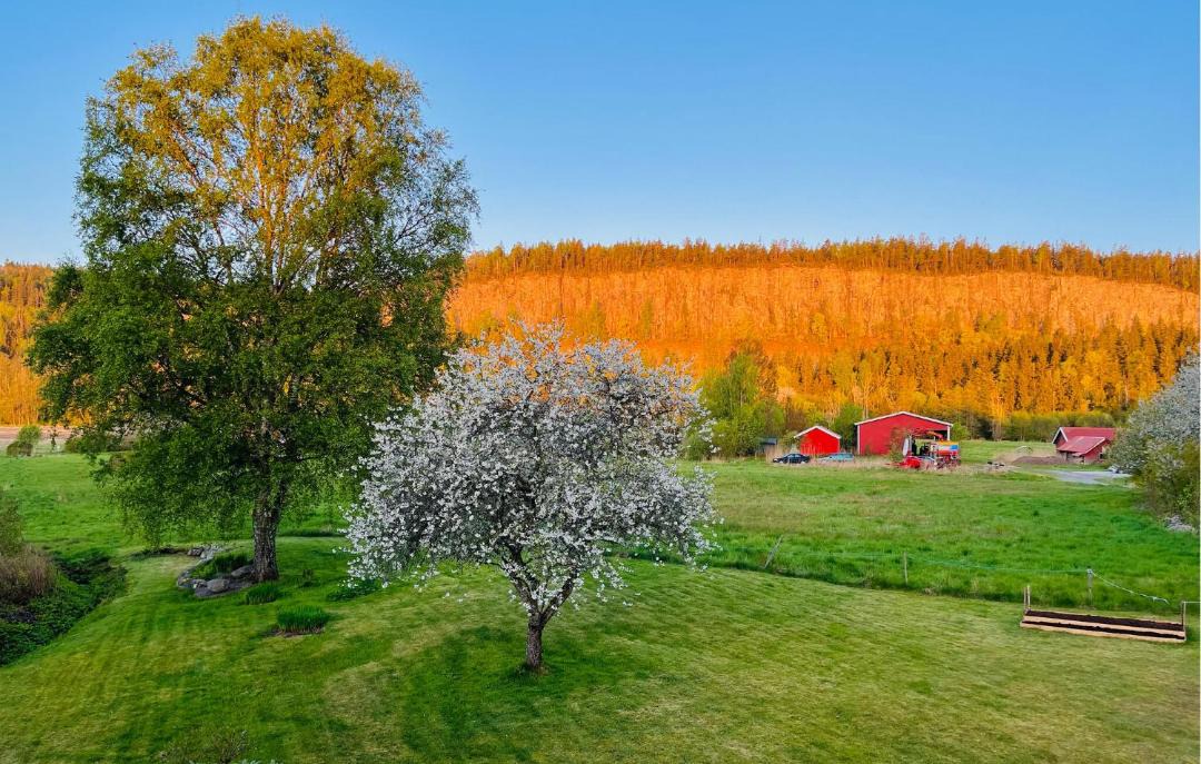Photo of Others in Vargon
