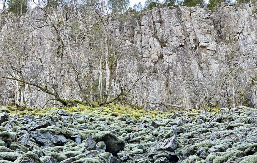 Photo of Others in Vargon