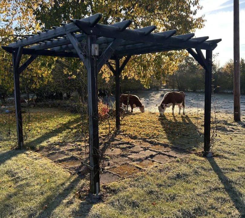 Photo of Outdoor in Hultsfred