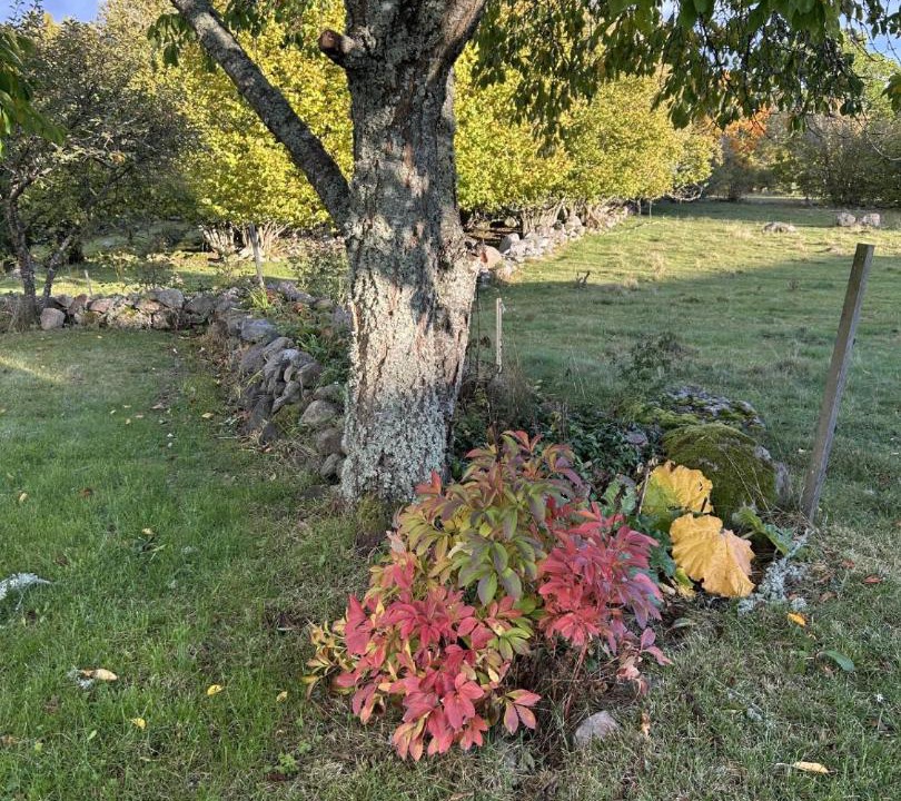 Photo of Outdoor in Hultsfred