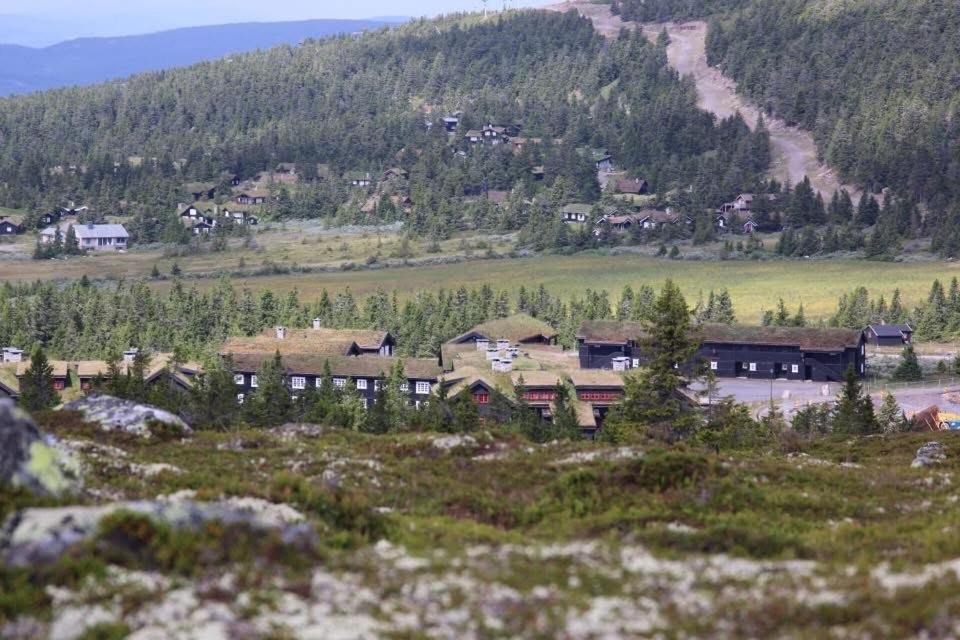 Photo of Buildings in yer