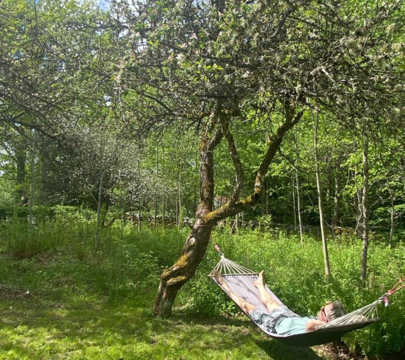 Photo of Others in Tingsryd