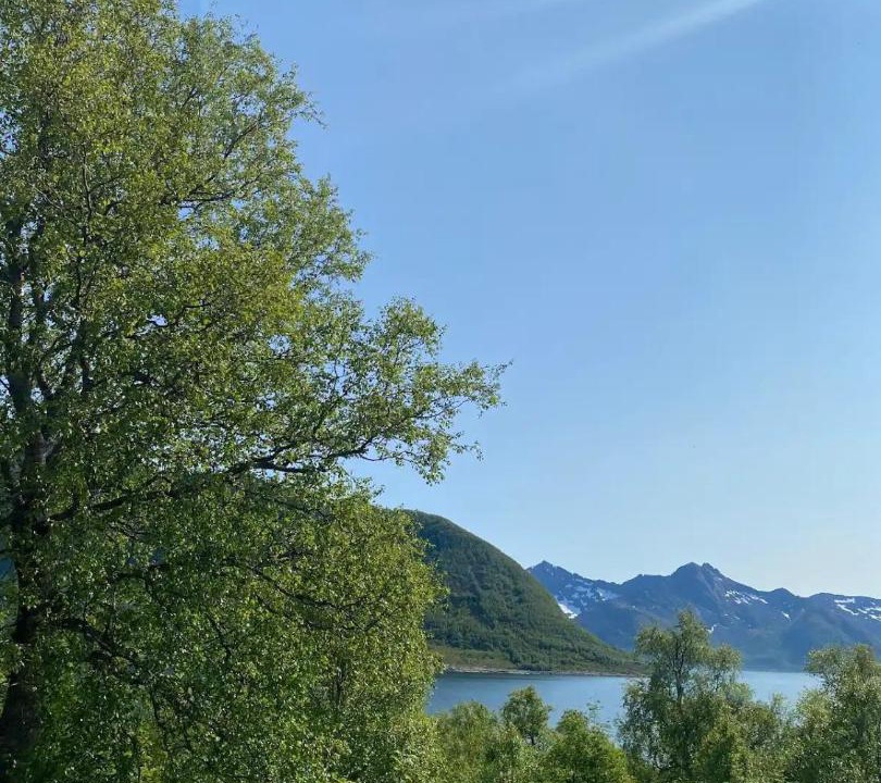Photo of Others in Torsken