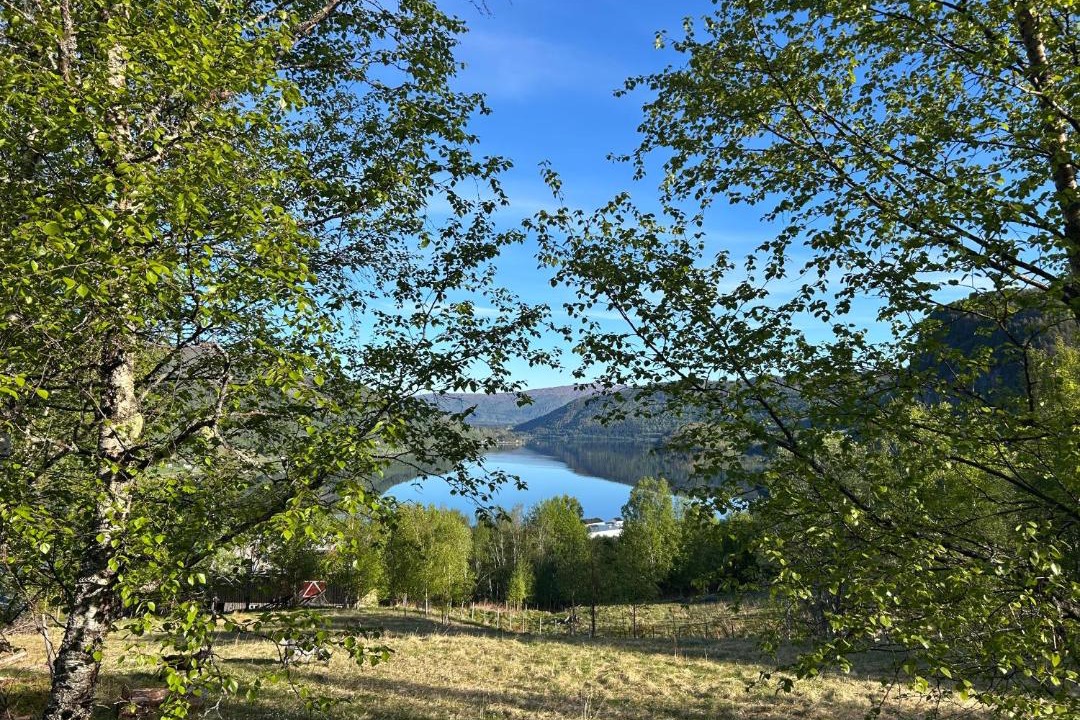 Photo of Others in Valsoybotn