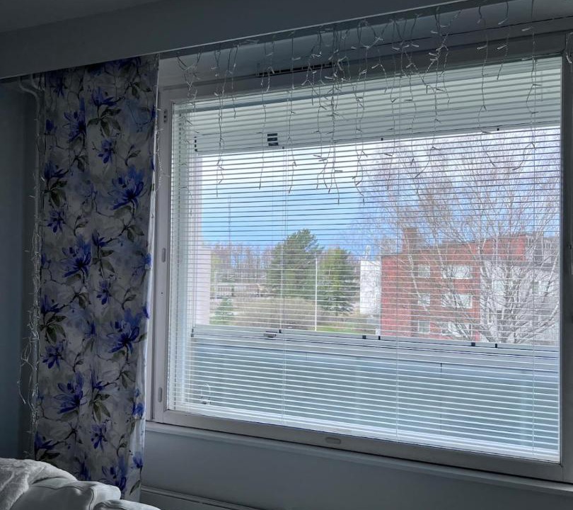 Photo of Others in Hanko