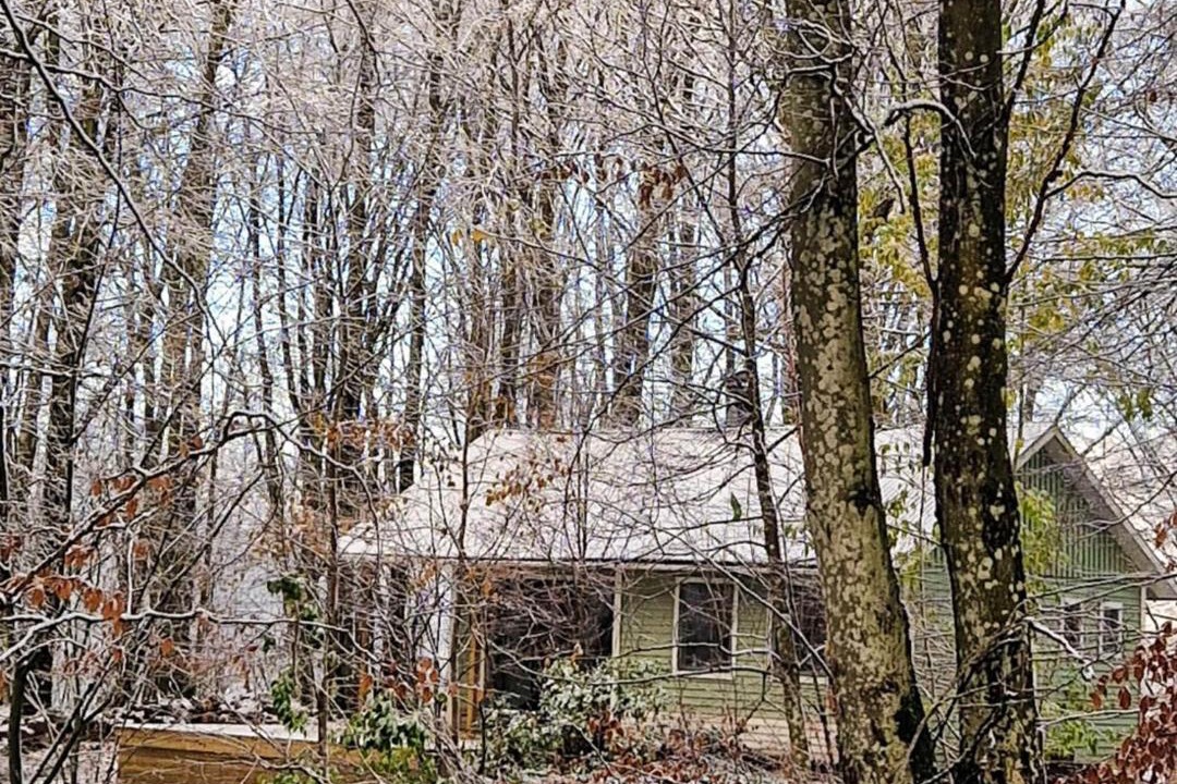 Photo of Others in Horby