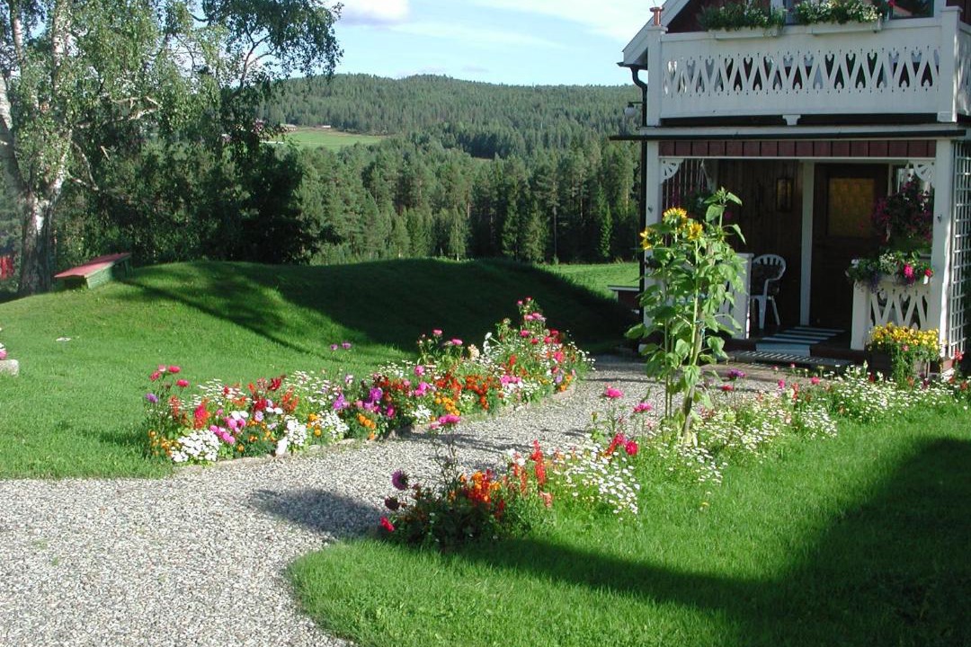 Photo of Others in Hammarstrand