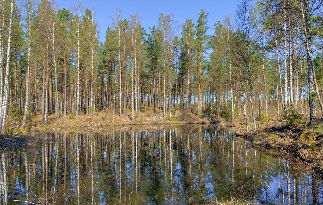 Photo of Others in Nybro