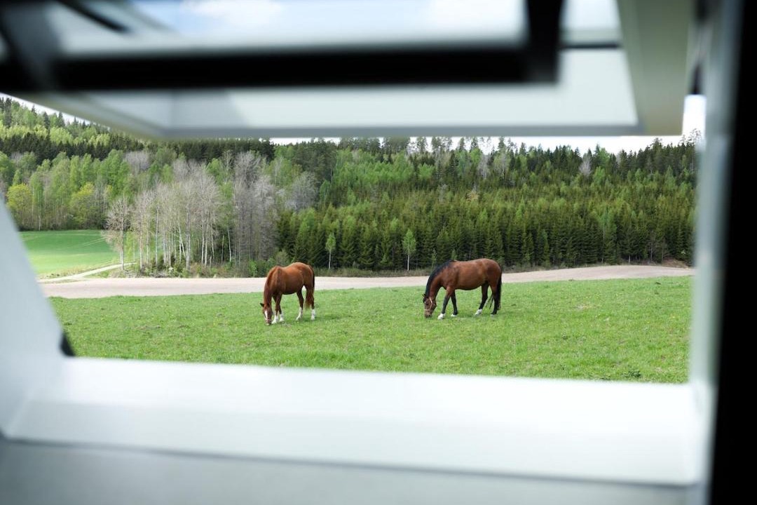 Photo of Others in Åmål