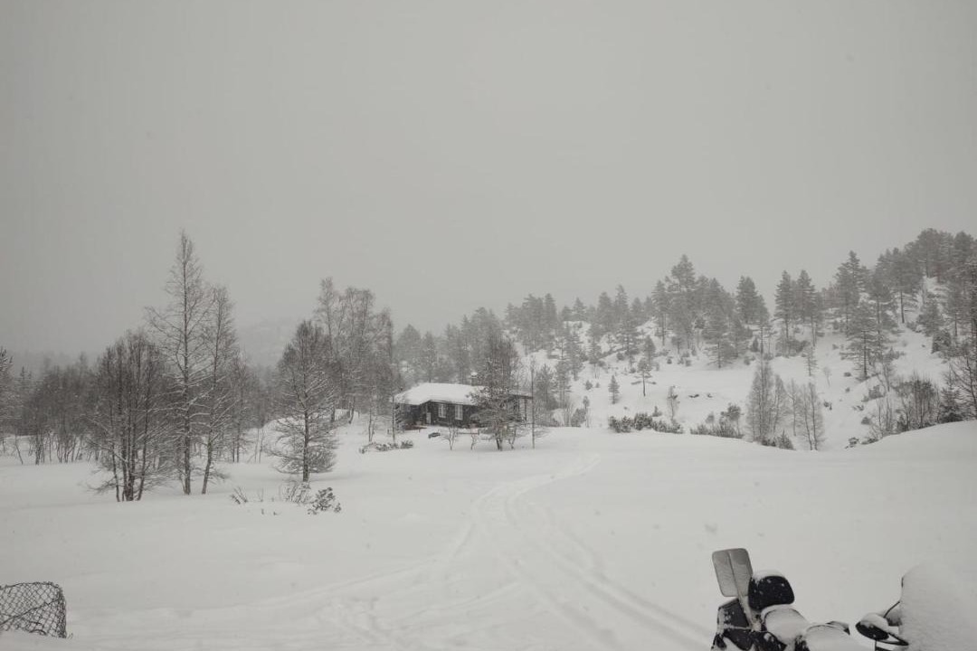 Photo of Others in Sirdal