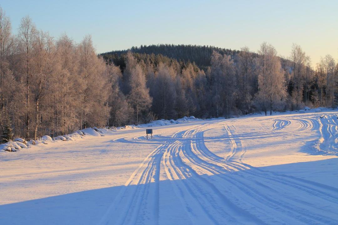 Photo of Others in Koli National Park