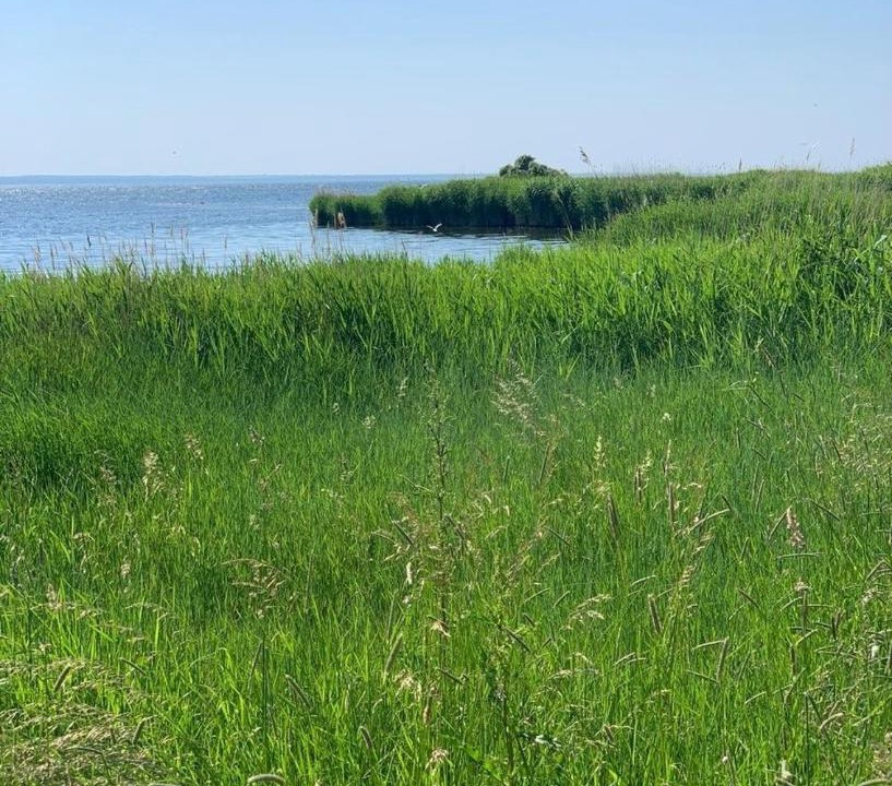 Photo of Others in Kalmar