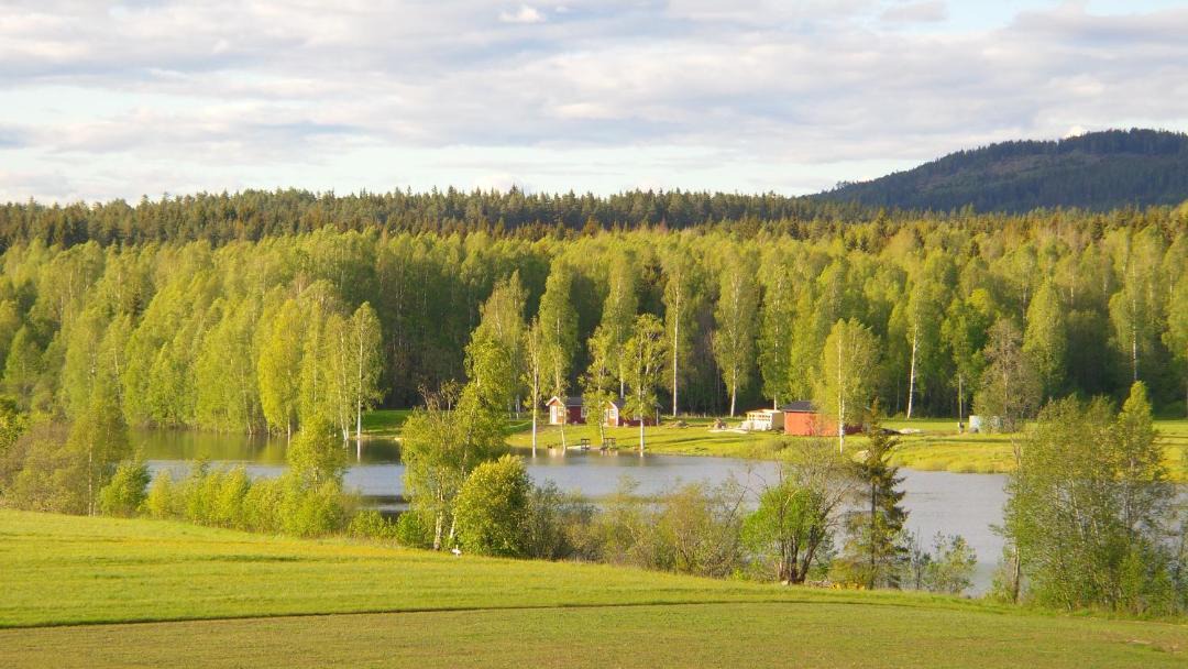 Photo of Others in Ostmark