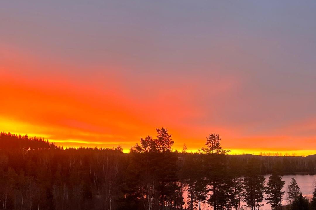 Photo of Others in Strombacka