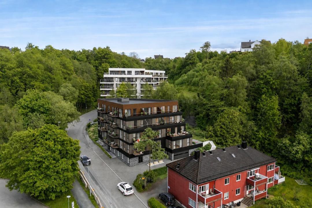 Photo of Others in Trondheim