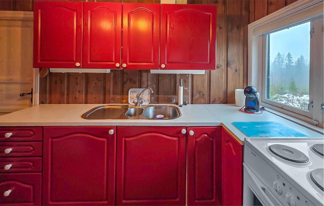 Photo of Kitchen in Lardal Municipality
