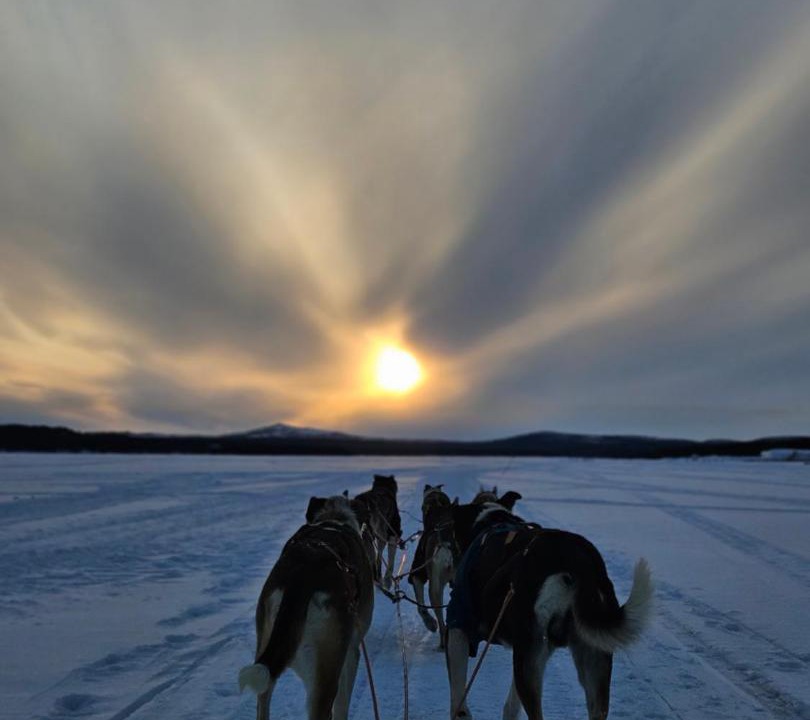 Photo of Others in Jukkasjarvi