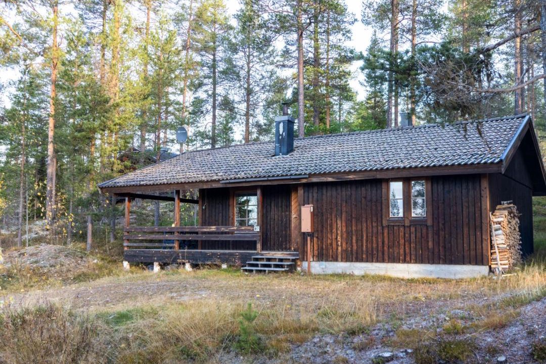 Photo of Others in Lofsdalen