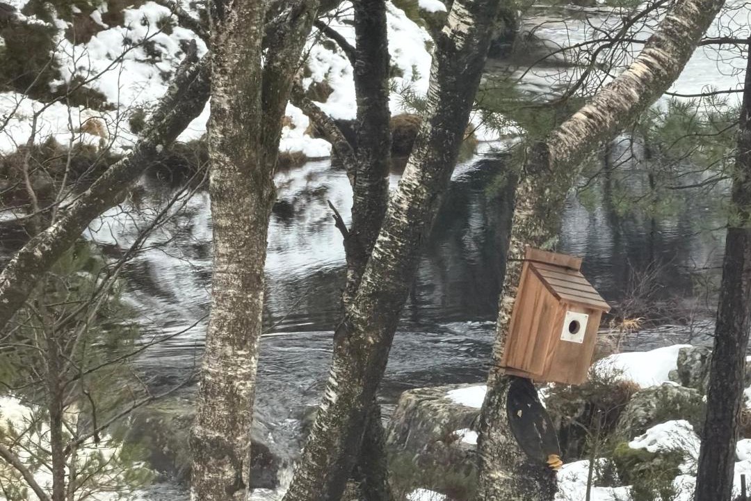 Photo of Others in Lyngdal