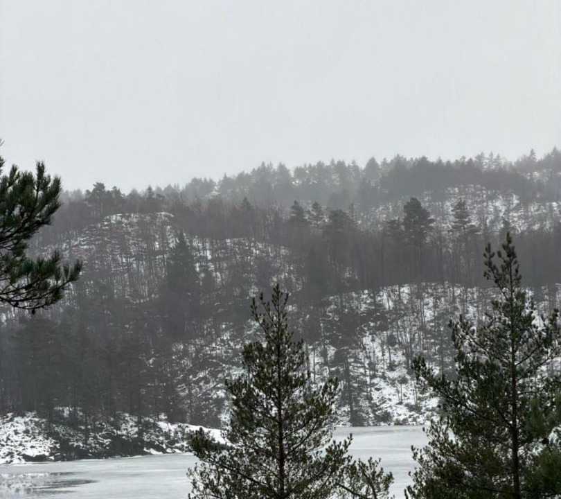 Photo of Others in Lyngdal