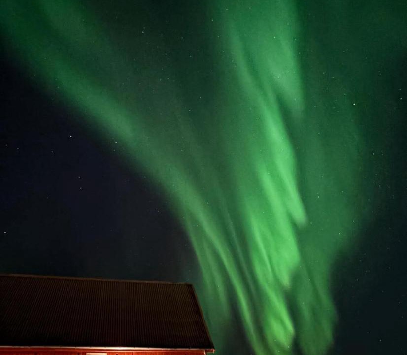 Photo of Others in Narvik