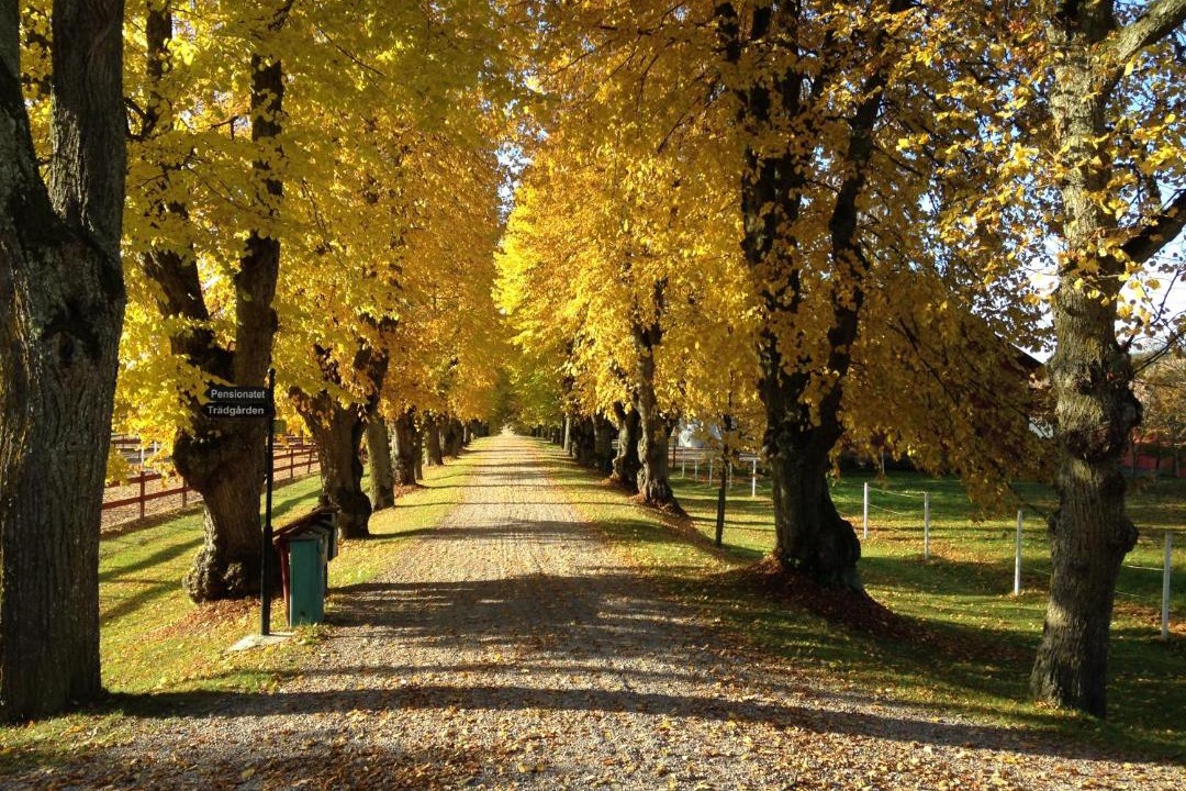 Photo of Others in Nykoping