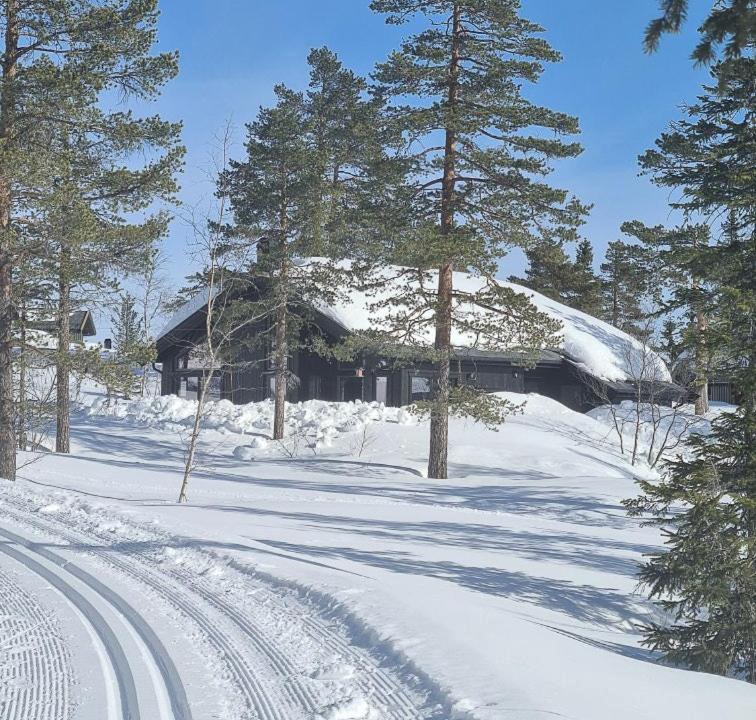 Photo of Others in Krodsherad