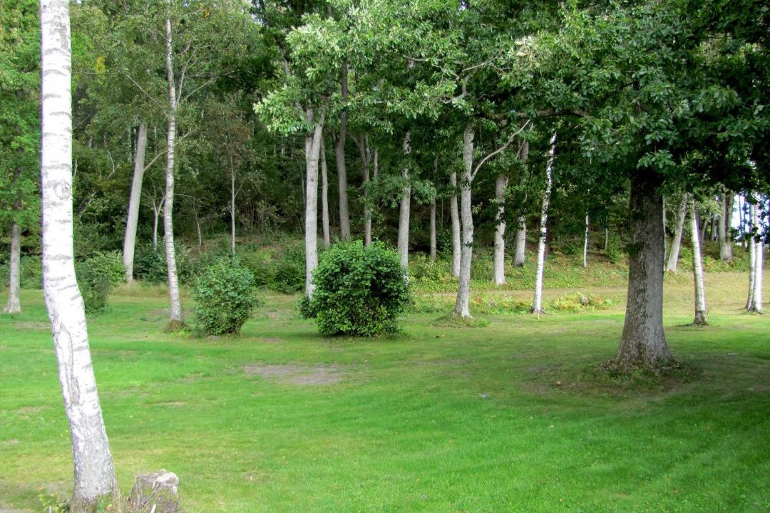Photo of Others in Stenungsund