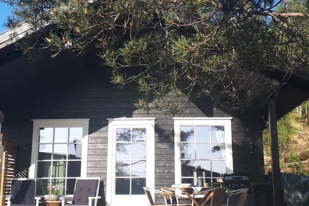 Photo of Others in Nissedal
