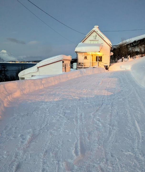 Photo of Others in Lyngen