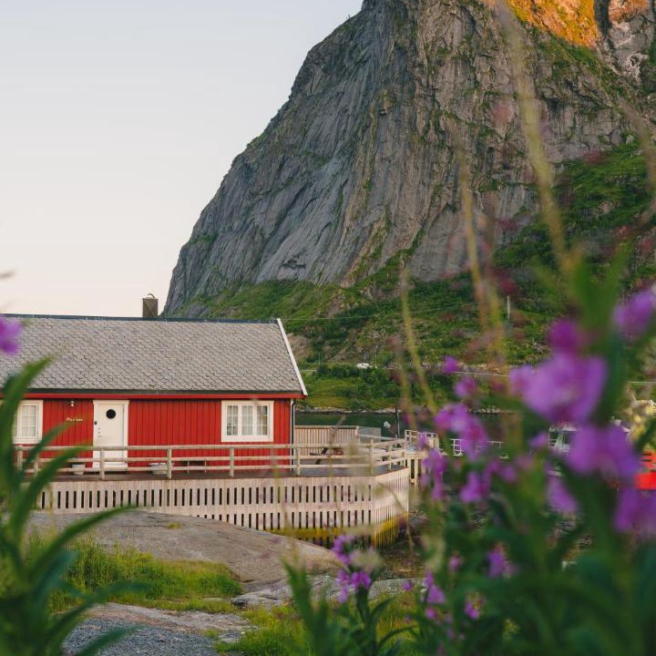 Photo of Others in Reine