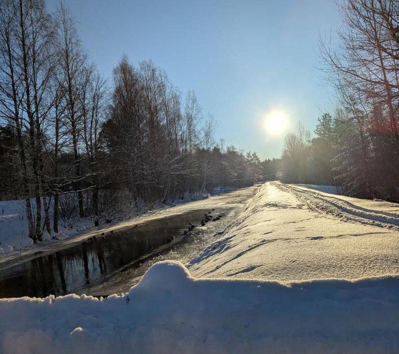 Photo of Others in Nykroppa
