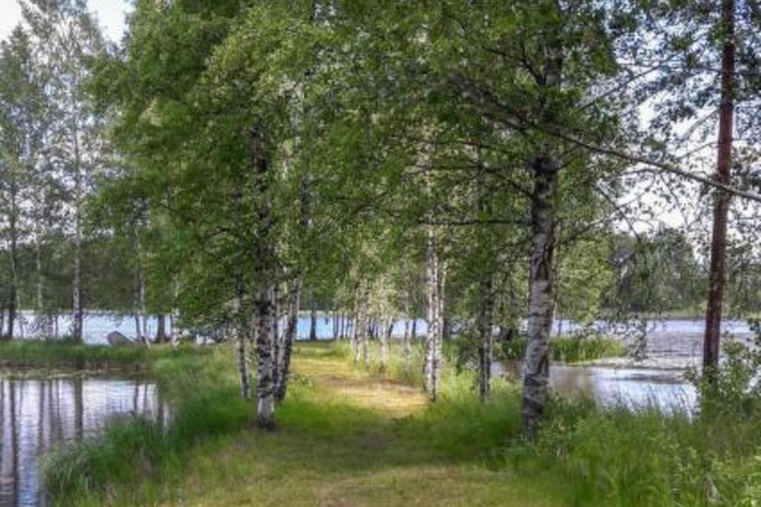 Photo of Others in Asikkala