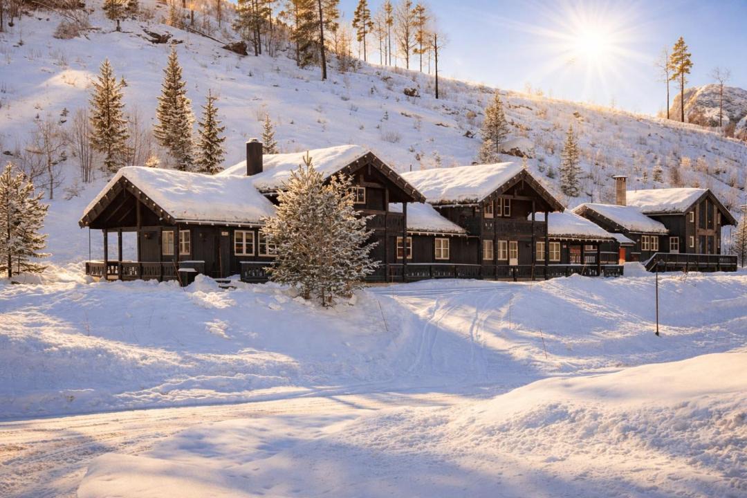 Photo of Others in Hemsedal