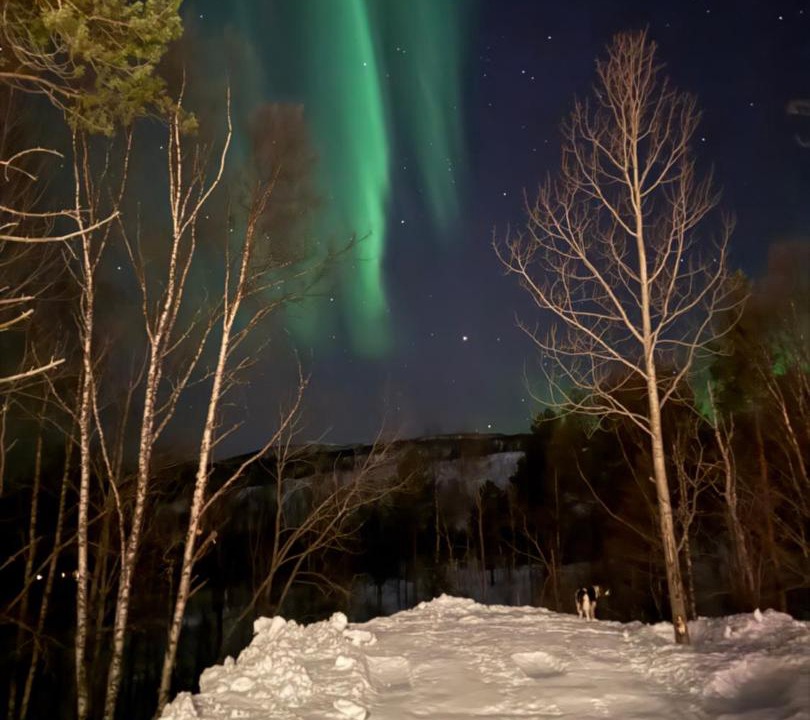 Photo of Others in Setermoen