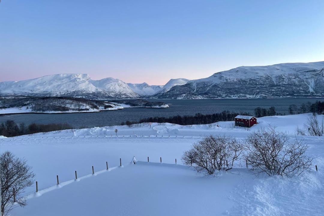 Photo of Others in Lyngen