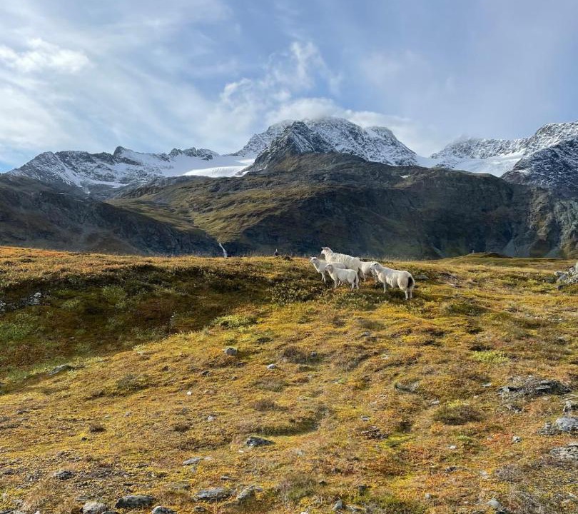 Photo of Others in Lyngen