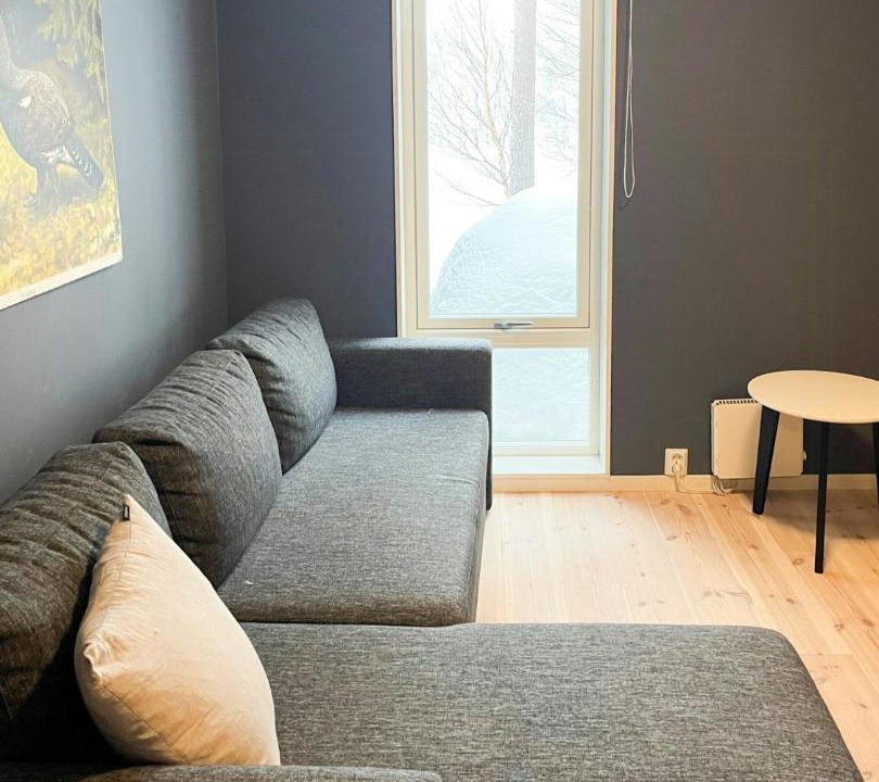 Photo of Livingroom in Rauland