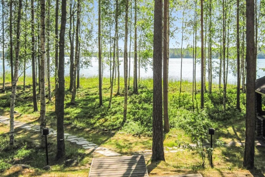 Photo of Others in Pertunmaa