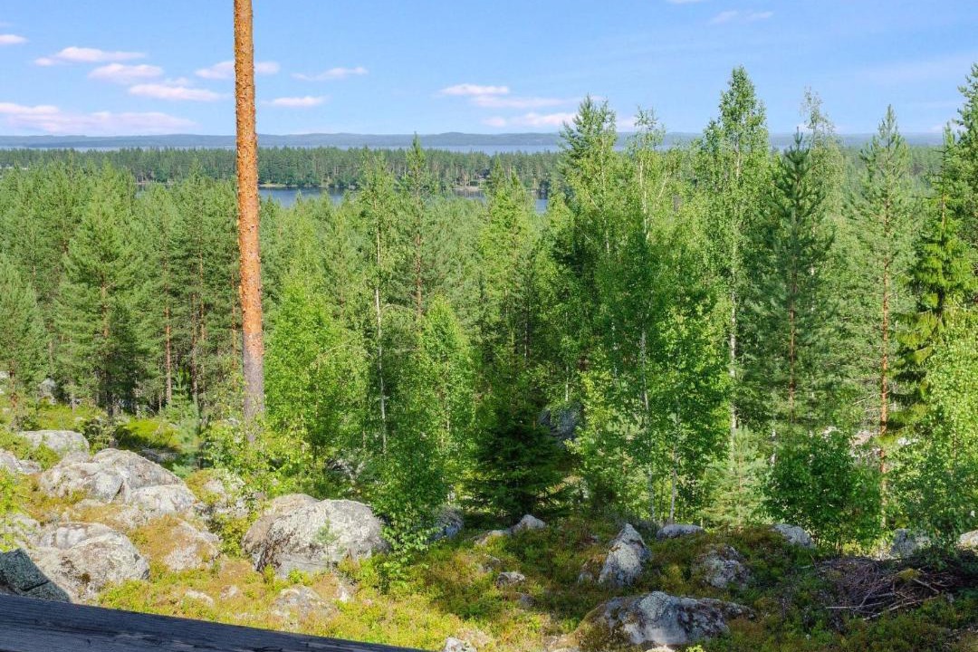 Photo of Others in Koli National Park