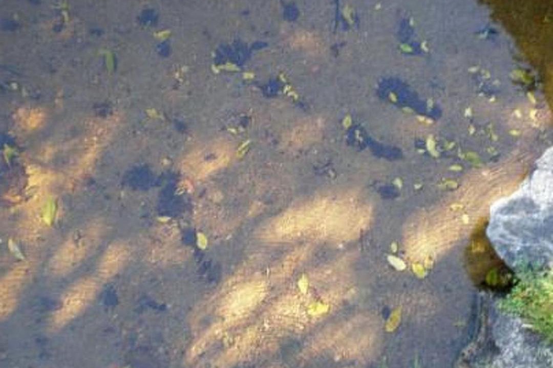 Photo of Others in Mantyharju