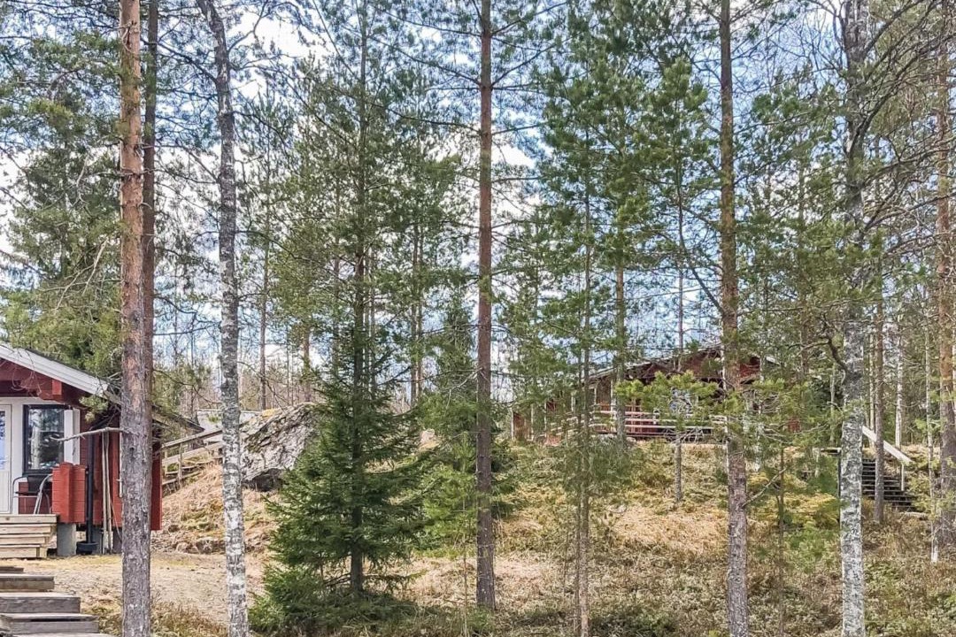 Photo of Others in Enonkoski