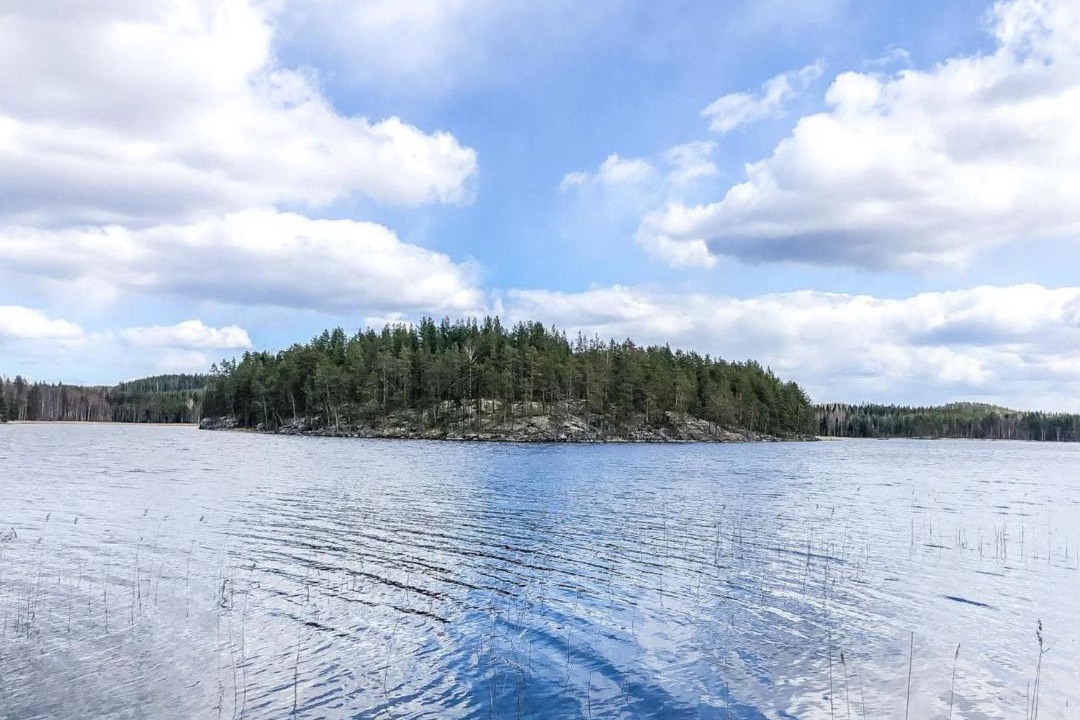 Photo of Others in Enonkoski