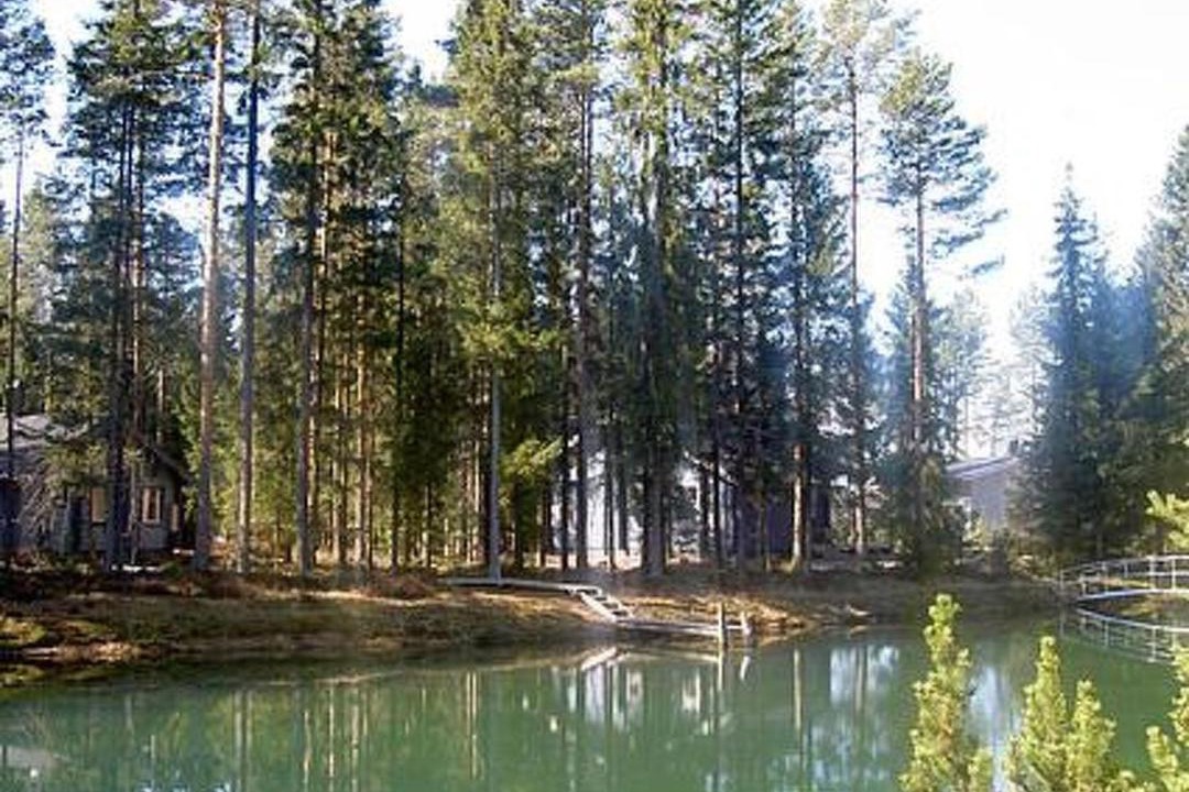 Photo of Others in Oripaa