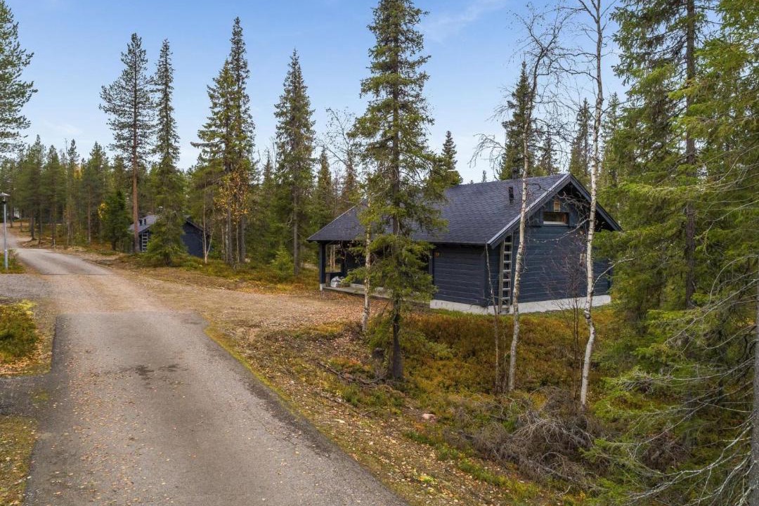 Photo of Others in Yllasjarvi