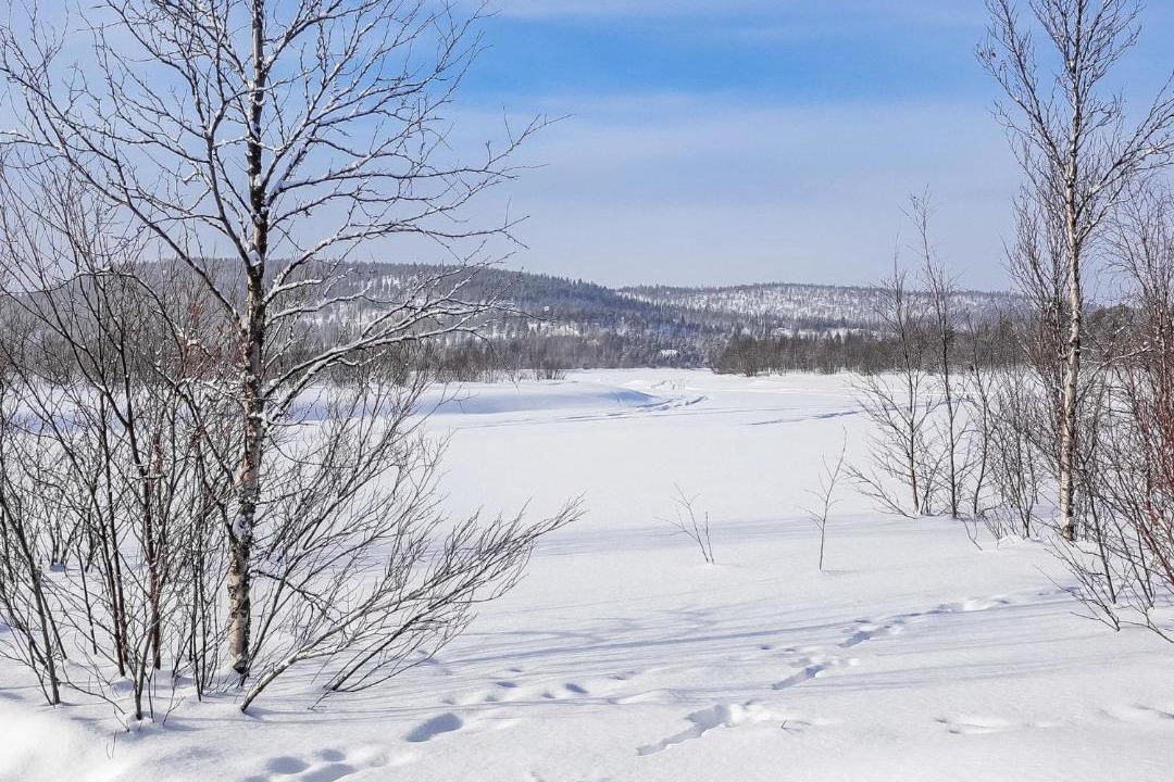 Photo of Others in Inari
