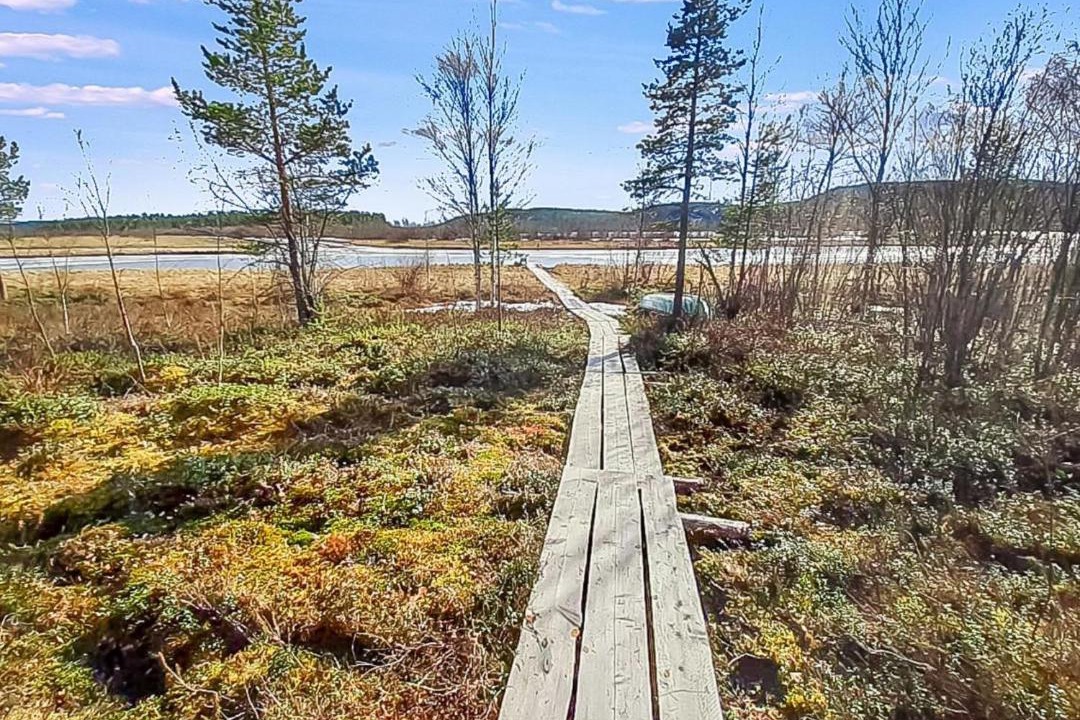 Photo of Others in Inari