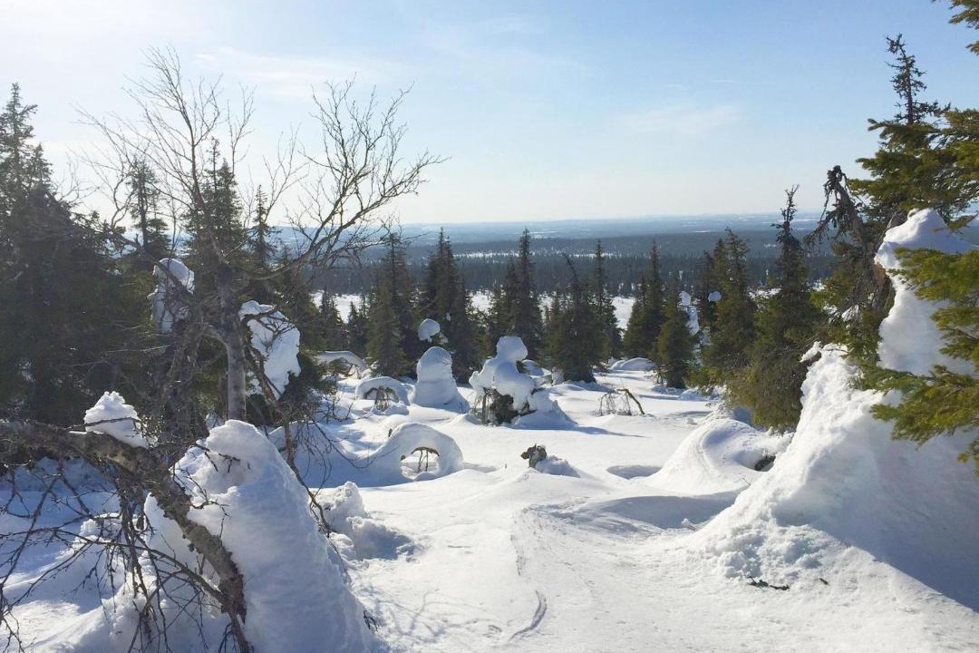 Photo of Others in Salla