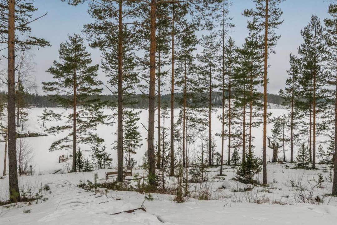 Photo of Others in Mantyharju